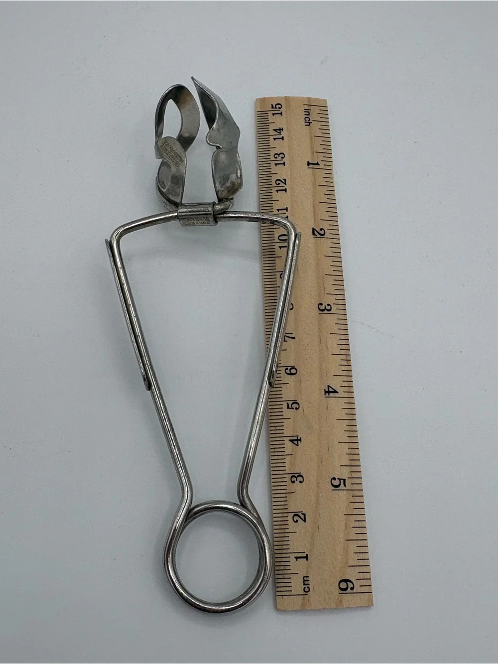 Vintage Chas R Ruegger French Asparagus Tongs Set of 2 Made in France